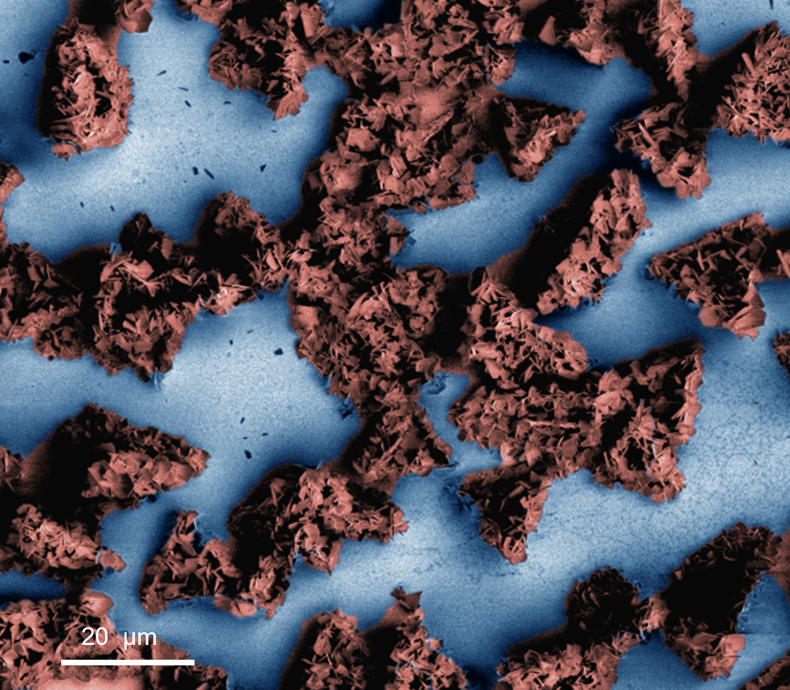 Electroplated Nachos